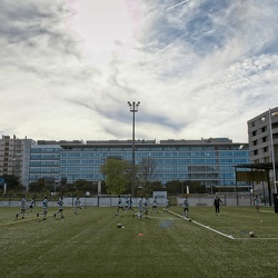 Rugby - PUC 26/10/2019